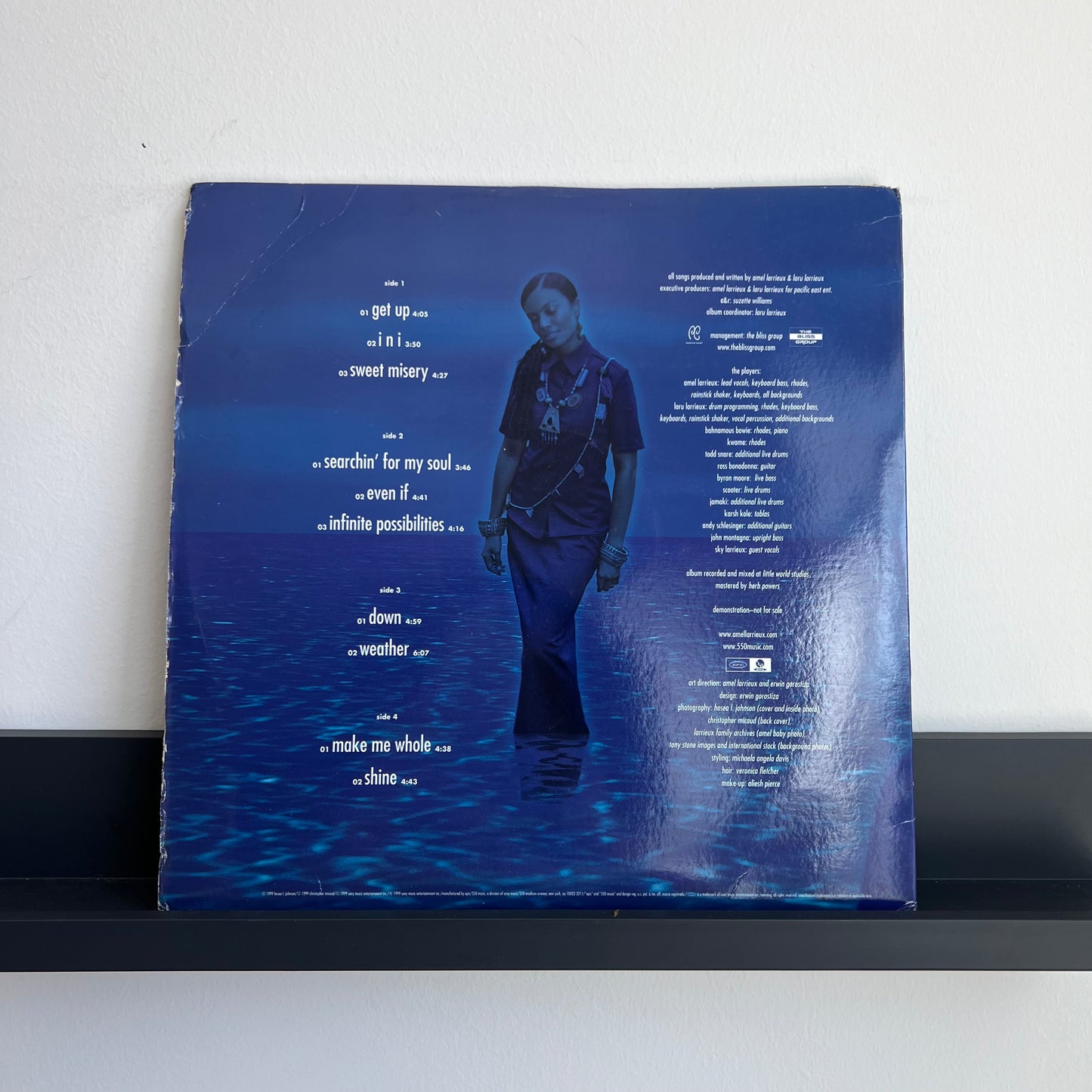 Amel Larrieux - Infinite Possibilities