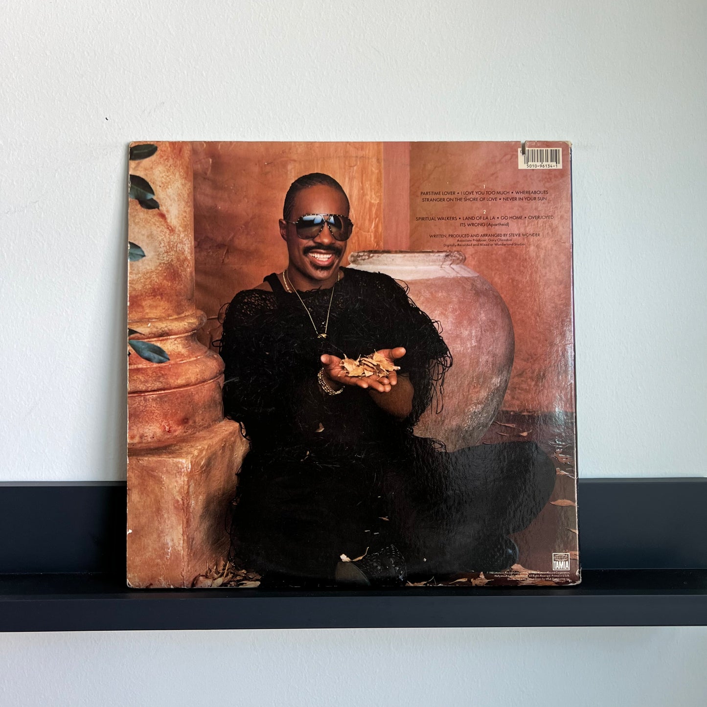 Stevie Wonder- In Square Circle