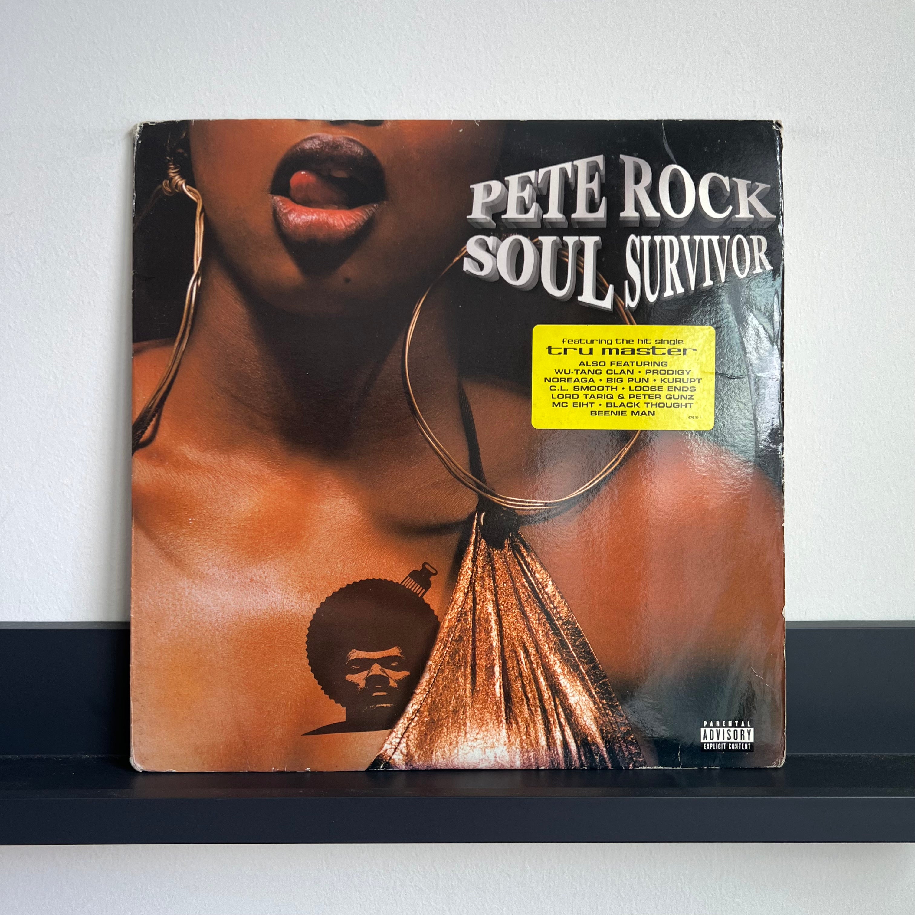Pete Rock - Soul Survivor