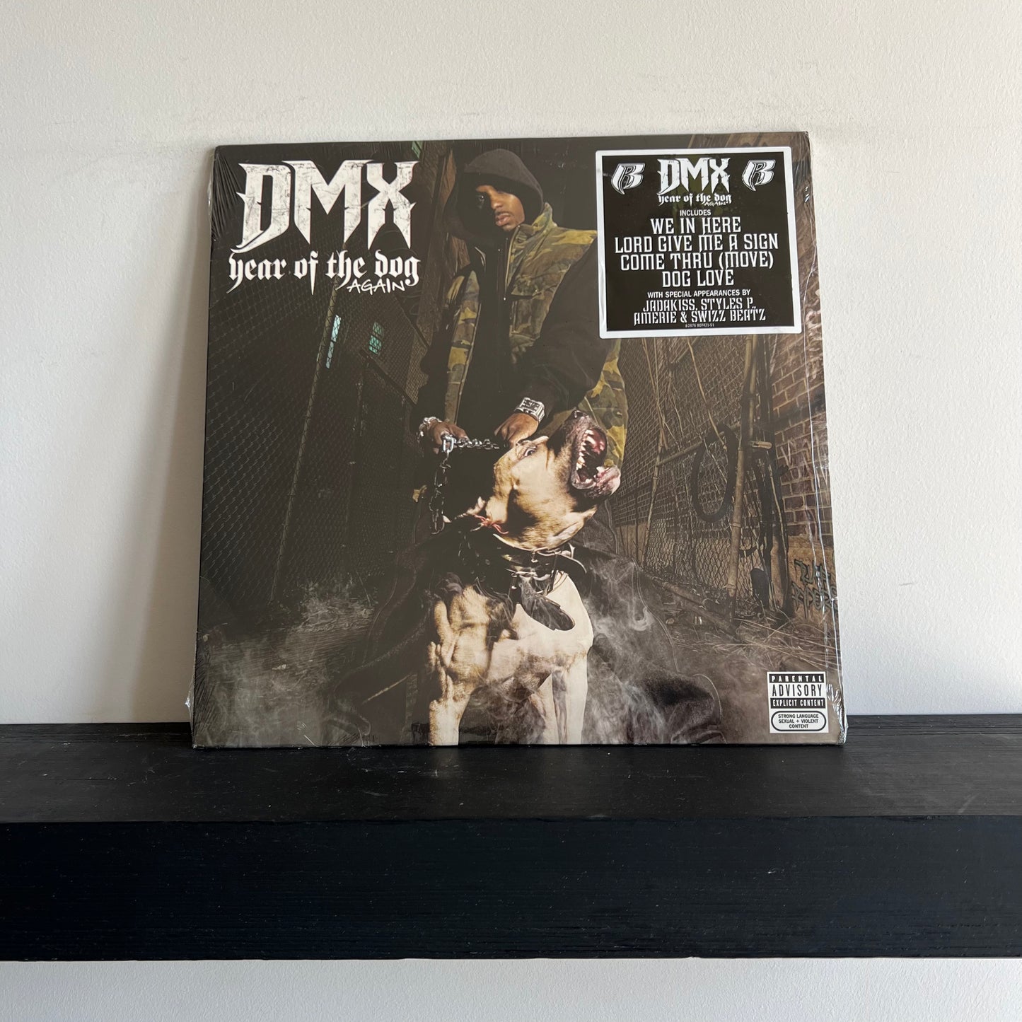 DMX - Year of the Dog Again