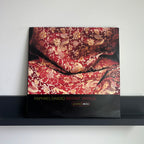 Raphael Saadiq - Instant Vintage