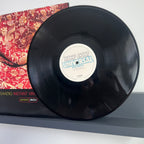Raphael Saadiq - Instant Vintage