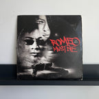 Romeo Must Die - The Album