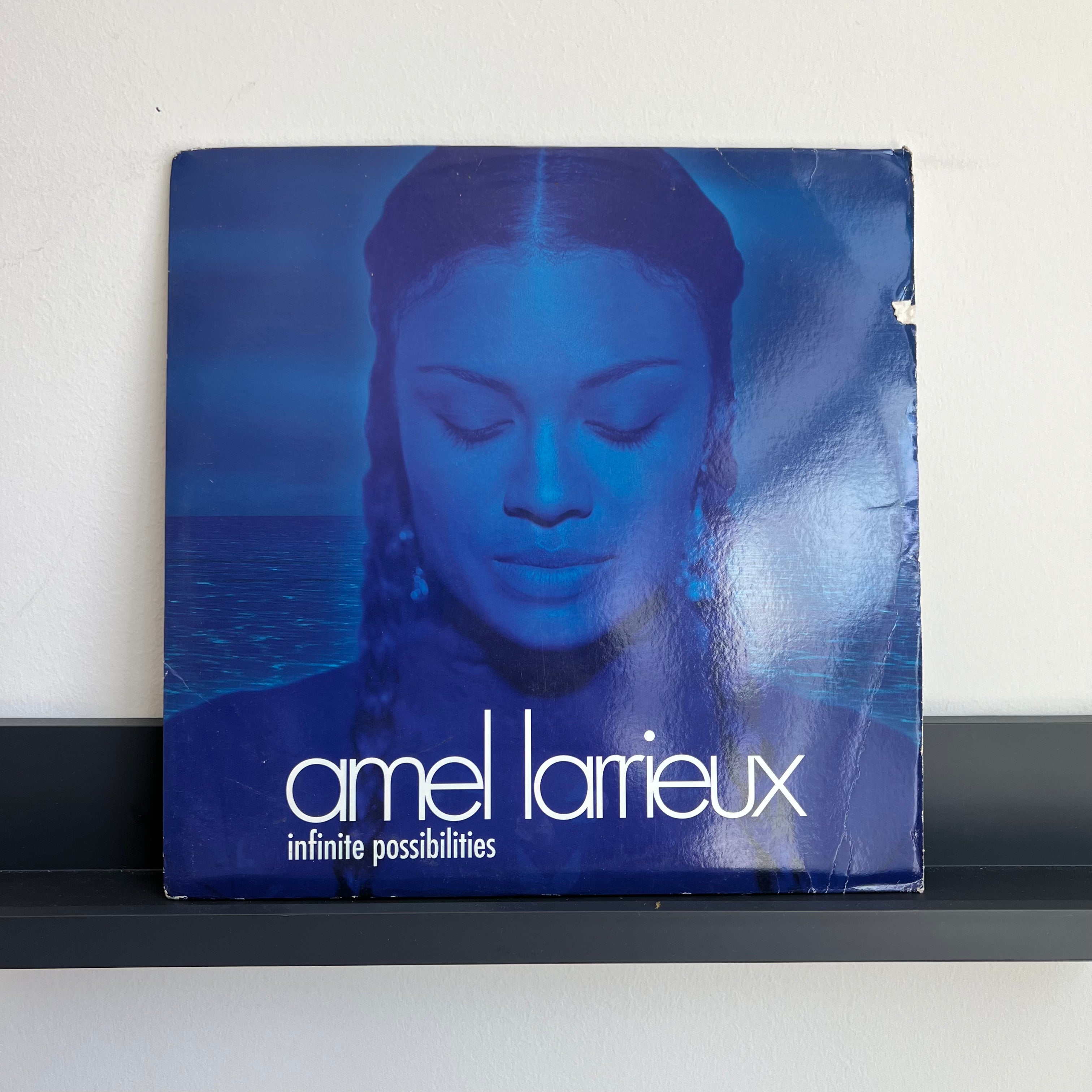 Amel Larrieux - Infinite Possibilities