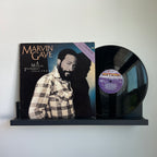 Marvin Gaye - A Musical Testament 1964-1984